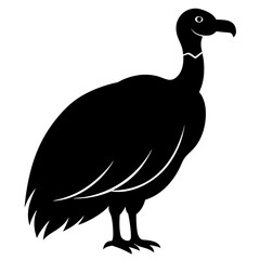 vulture bird black silhouette vector, Simple silhouette Design vector icon with white background. Wild bird