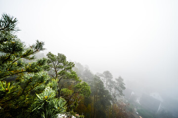 View from the Hahnfels near Erfweiler in the Palatinate region with the surrounding natural landscape at the red sandstone cliff.
