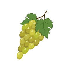 Green currant. Ripe red currant berries with green leaves. A cartoon-style currant. The vector illustration is isolated on a white background