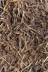 General stock - gardening. ..Horse manure for the garden. .spring, voorjaar, allotment, moestuin, garden, paardenpoep, mest, straw, stro,
