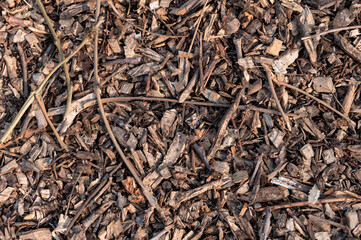 General stock - gardening. ..Wood chippings ground cover .spring, voorjaar, allotment, moestuin, garden, gehakseld, houtsnippers,