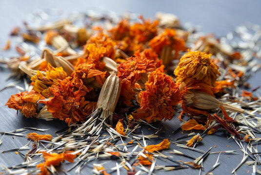 Dried Marigold Flowers with Seeds