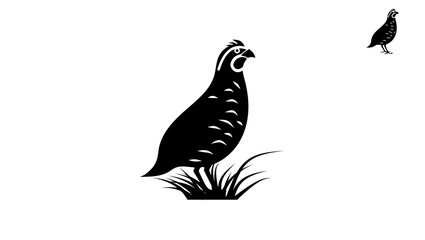 Bird of quail , black  isolated silhouette