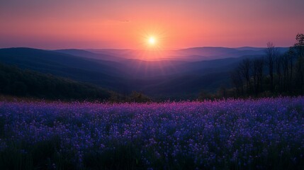 Obraz premium Vibrant Sunrise over Rolling Hills and Lavender Field