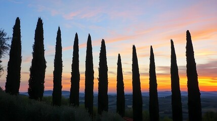 Moody Sky with Cypress Branches