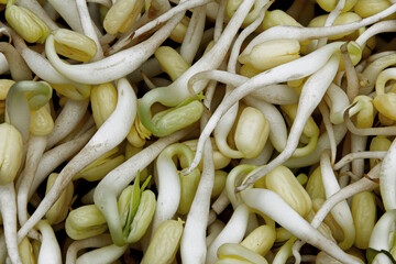 Fresh Mung Bean Sprouts on Wooden Surface. Macro Shot of Fresh Bean Sprouts