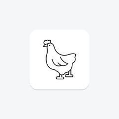 Poultry, vector, pixel perfect, illustrator file