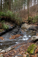 Obraz premium Natural stream in rocky mountains in pine forest. Wild river, stream in pine forest among rocks.