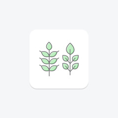 Wheat, vector, pixel perfect, illustrator file