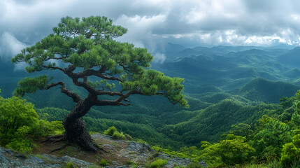 A lone tree sits atop a ridge overlooking a lush landscape of misty mountains under a cloudy sky