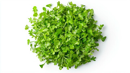 Obraz premium Fresh cress salad with avocado on white background for healthy eating and vegan cuisine