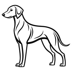 Line Art of a Sleek Black Dalmatian Dog Standing Profile, Isolated on White Background