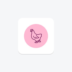 Poultry, vector, pixel perfect, illustrator file