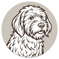 Schnoodle Dog Portrait in Round Frame, Illustration, White Fur, Brown Outline