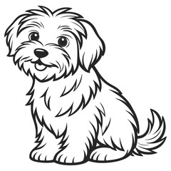 Maltese Dog Cartoon Line Art, Fluffy White Puppy Sitting, Smiling Pet Animal Portrait