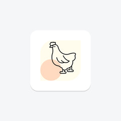 Poultry, vector, pixel perfect, illustrator file