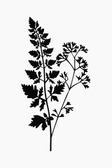 Minimalist black silhouette plant vector