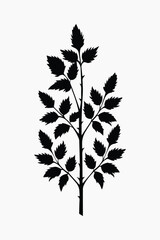Obraz premium Minimalist black silhouette plant vector
