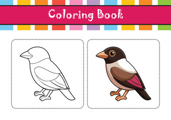  Stunning African Broadbill Depiction