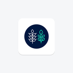 Wheat, vector, pixel perfect, illustrator file