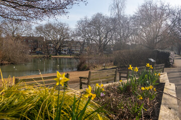 LONDON- Barnes Green open public park space in Barnes, upmarket area of Richmond in south west...