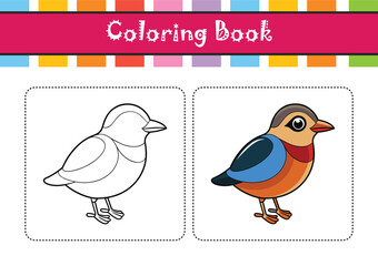  Stunning African Pitta Design