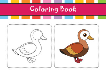  Realistic Illustration of African Pygmy Goose