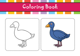  Realistic Swamphen Bird Illustration in Nature