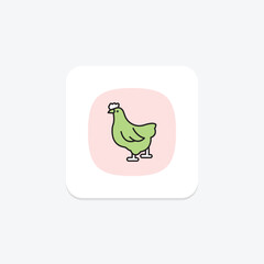 Poultry, vector, pixel perfect, illustrator file