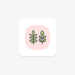 Wheat, vector, pixel perfect, illustrator file