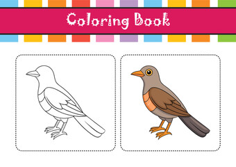  Vibrant African Thrush Bird Color Illustration