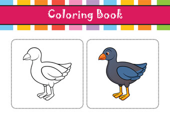  Colorful Representation of Allen's Gallinule Bird