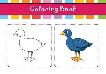  Vibrant Allen's Gallinule Detailed Illustration