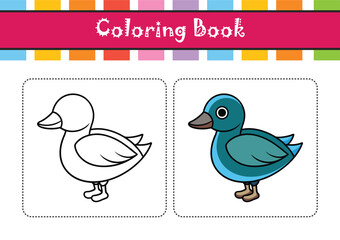  Realistic Andean Teal Illustration