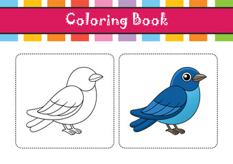  Vibrant Asian Fairy Bluebird Detailed Illustration