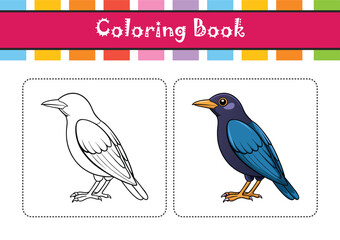  Stunning Asian Glossy Starling Colorful Illustration