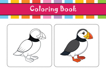  Vivid Atlantic Puffin Bird Design