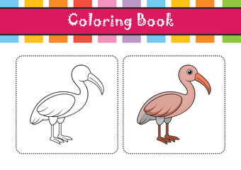  Stunning Australian Ibis Bird Representation