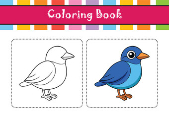  Stunning Azure-Breasted Pitta Bird Representation