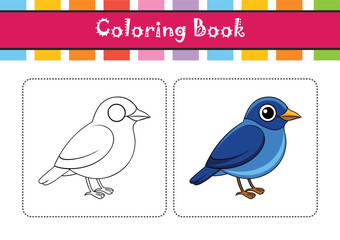  Charming Azure-Breasted Pitta Bird Illustration