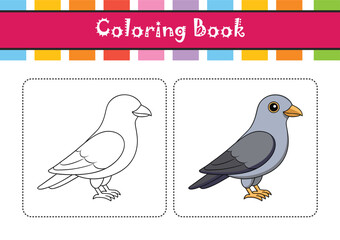  Realistic Bar-Bellied Cuckooshrike Illustration
