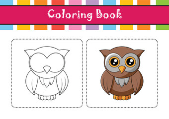  Colorful Representation of Bay Owl Bird