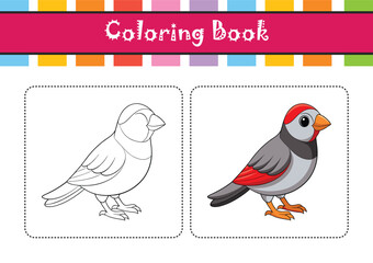  Vibrant Beautiful Firetail Bird Detailed Illustration