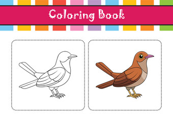  Stunning Bendire's Thrasher Colorful Illustration