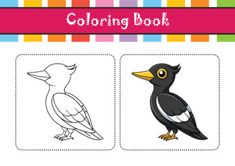  Realistic Black-backed Woodpecker Bird Illustration