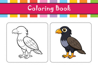  Stunning Black-Breasted Buzzard Bird Representation