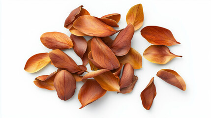 Realistic magnolia petals falling in autumn colors for elegant nature decor