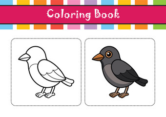  Charming Black-Chinned Babbler Bird Illustration