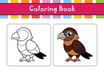 Obraz premium Dynamic Black-Collared Hawk Bird Design