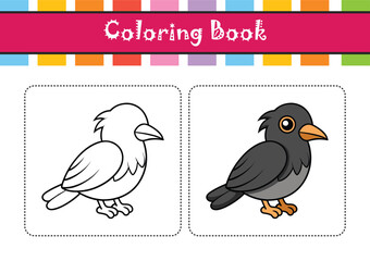  Stunning Black-Fronted Nunbird Design